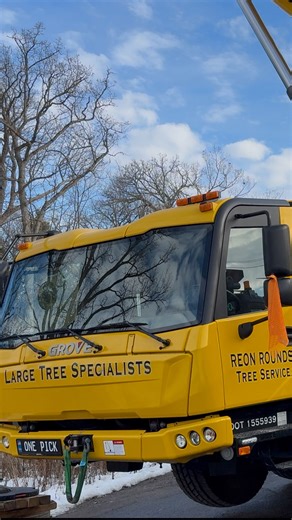 Reon Rounds on Instagram: "Xl White oak removal, full counter weight Grove Job @hilliard_zach @felipevera8183 @aaronjyxz @spence.baldwin @grove_mobile_cranes @avanttecnousa @banditchippers @stihl @westcoastsaw @palfinger_usa_treemek #reels #instagram #wisconsin #treelife #madison #crane"