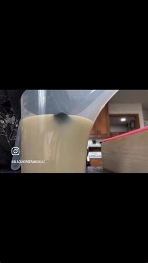 Real handmade soap is different. Most store soaps are actually detergents filled with synthetic foaming agents, fragrances, and preservatives that can dry out skin. Ours is made with a short, simple ingredient list: 🥛 Goat milk 🐄 Grass-fed beef tallow 🫒 Olive oil 🥥 Coconut oil 🌿 Castor oil ✨ Essential oils (for scent) That’s it. We don’t outsource our goat milk or tallow — it all comes directly from our own animals here at Black Horse Ranch. You know exactly where your ingredients come from