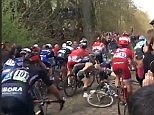 Bike race comes to an abrupt end as multiple bikers crash