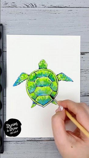 🐢 Draw a Turtle in 5 Minutes