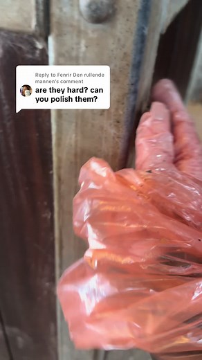 Sheath Cleaning Tips for Equestrians