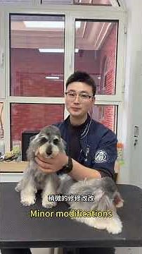 Mastering Schnauzer Grooming: Fast Tips for a Showstopper