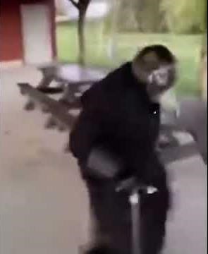 SCP-049 dancing meme