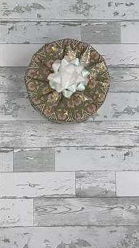 A simple, beautiful way to wrap a round box like a pro #wrappinghacks #giftwrapping #giftwrap