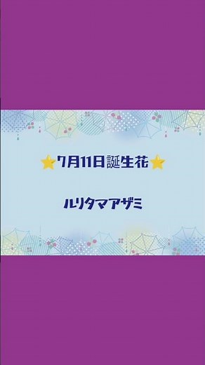 7月11日誕生花「ルリタマアザミ」