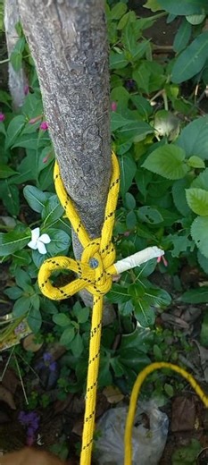 Easy and simple Knot #Knot #shots