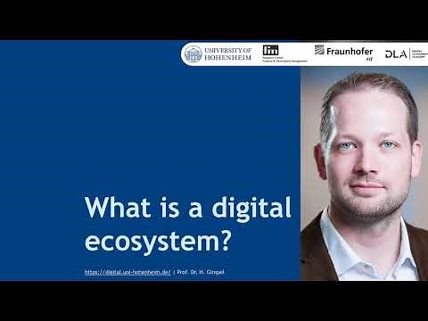 What is a digital ecosystem? (8:05 minutes)