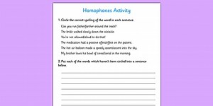 Homophones Activity