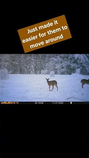 Plowing Snow for Deer with John Deere 3039r Tractor. #johndeeretractor #snow #winter #deerhunting