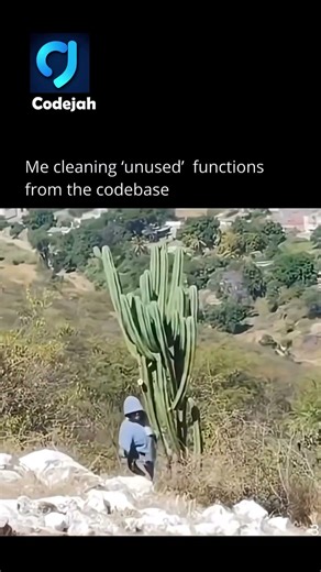 The Ripple Effect 😒 #coding #programming #javascript #python