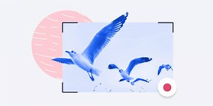 Скринкаст — как делать запись экрана