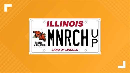 Illinois' long-awaited monarch butterfly license plate now available