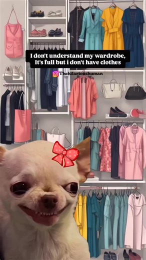 Hilarious Human👤| Relatable Memes🔥 on Instagram: "If this made you laugh, you officially belong here💕Follow for more hilarious memes 👉 @thehilarioushuman You will never see this page again unless you follow us right now🎯 . . . . . . . . . . #memes #funny #jokes #relatable #funnyvideo"