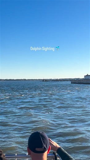 Seeing dolphins on the Charleston Harbor never gets old. 🐬 We spot them about 90% of the time out on the water, always a Lowcountry favorite. 🌊 | Charleston Water Taxi