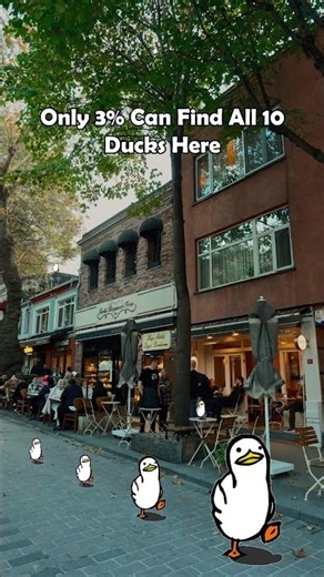 Only 3% Can Find All 10 Ducks Here 🦆