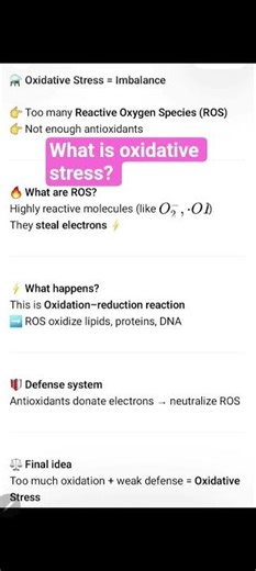 What is oxidative stress?
