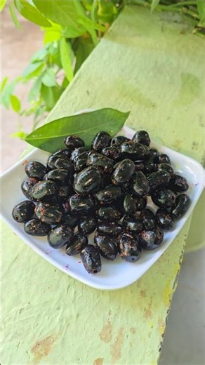 Fresh and Yummy Jamun from Fsrm | Jamun Season is back #jamun #farming #summer