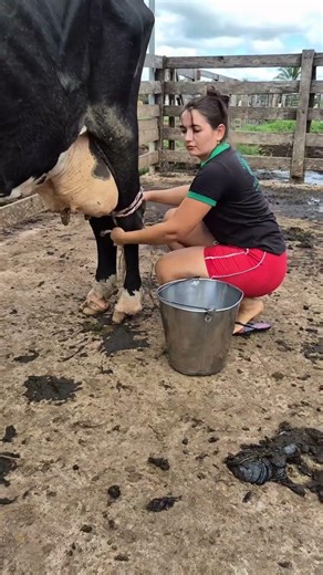 A Day in Farm Life 🐄 | Village Routine & Animal Care Experience #villagelife #cow