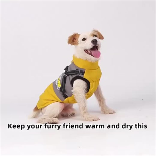 Quilted Dog Winter Coat Waterproof Polyester Outer Layer Warm Padded Dog Jacket