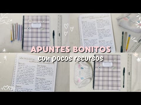 Apuntes Bonitos Minimalistas con Pocos Recursos / Apuntes Aesthetic / Apuntes Minimalista