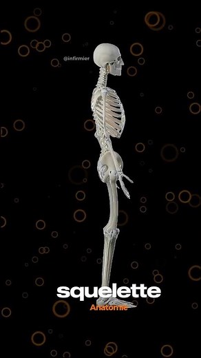 Voyage au Cœur du Corps Humain : Une Exploration 3D Époustouflante