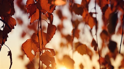 Fall equinox explained: Five things to know