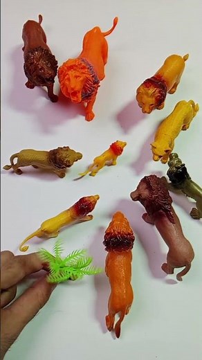 ​Wild Animals Lion Collection 🦁 Animal Toys #Shorts