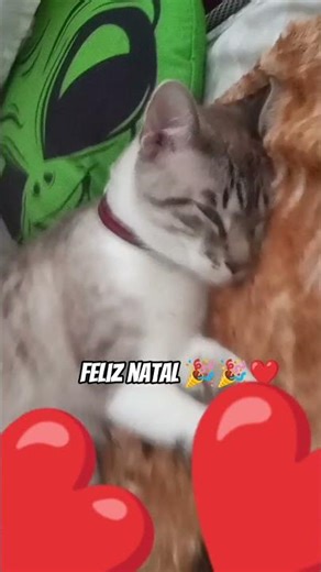 24 de dezembro de 2025