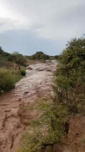 86K views · 1K reactions | mira Cronos Noticias, acaba de bajar agua por el arroyo, atrás del parque San José. (Video: Ric Alvarado) | Cronos Noticias | Facebook