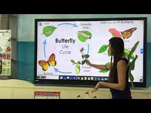 Butterfly life Cycle :Kinder E-learning Science Lesson