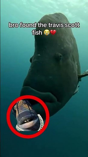 Bro found the Travis Scott fish😭💔 #memes #shorts #fyp #fypシ #travisscott