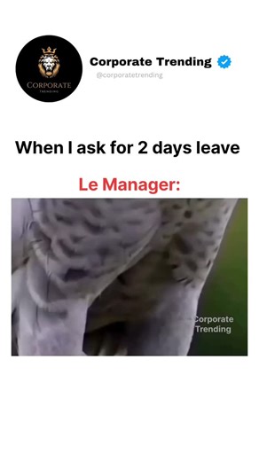 Corporate Trending on Instagram: "My manager face 😈 . . . . . . . . . [Instagram, growth, engagement, SEO, tips, coach] #officememes #officememes #like #funny #corporatelifestyle instagram follow officefun office management corporatereality corporate corporatetrending manager employee leave bench Follow @corporatetrending"