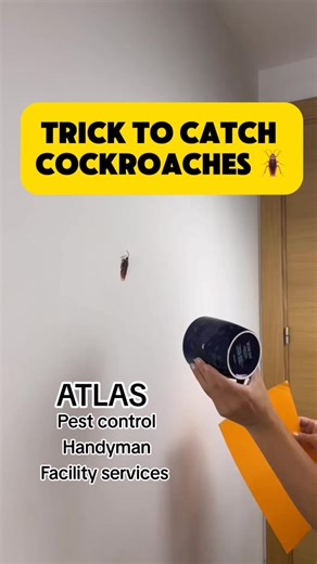 ‏#creatorsearchinsights