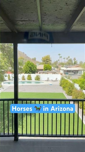 $930k Phoenix Airbnb With Horses Included #shorts #realestate