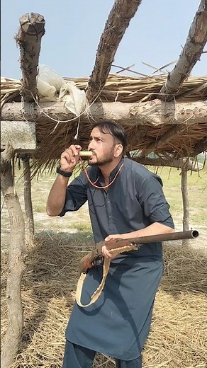 The Perfect Quack: Duck Call Tutorial | All Ducks Hunting Call Sounds and Techniques Wildlife.