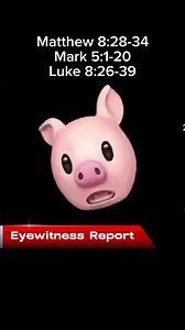 Bible story told by the pig #funny #pig #video #bible #Biblestory #Christian #church #story #storytime #eyewitness #eyewitnessreport #report #news | Nina Dawn
