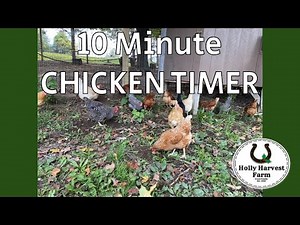 10 Minute Chicken Timer