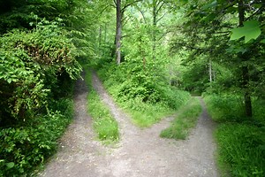 How Libet’s Free Will Research Is Misrepresented