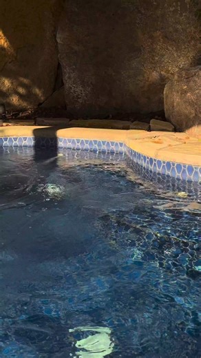 Du bain tourbillon aux instants au coin du feu, tout est en place pour vous reposer. Profitez des derniers jours d’automne pour ralentir, respirer et simplement être. 🍂✨ Réservez votre douce escapade ici : https://heyor.ca/hcCtD6 | Le Westin Tremblant