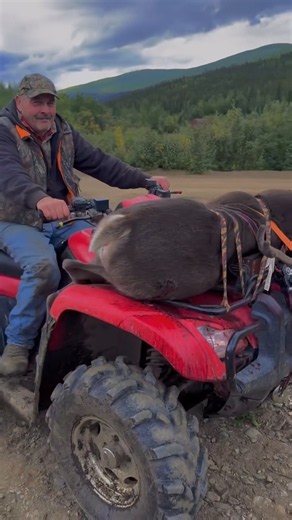 Caribou #hunting in interior #alaska was a success. Meat was much needed in the freezer 💕