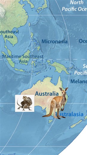 why australia has the DEADLIEST animals 💀