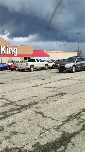 You can see pigeons of the same color not only in India but also in West Virginia, USA