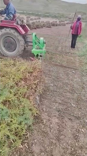 Clearing process of vegetation from farmland using mechanical rakes