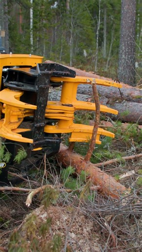 TMK Grapple Saw features electronically lockable grapples for trickier sawing motions. 👌