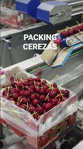 PACKING CEREZAS