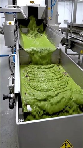 Inside a Modern Olive Oil Factory | From Fresh Olives to Bottled Olive Oil (Full Process)