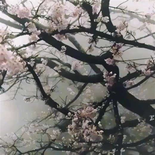 -самая красивая#rokomendasidrakor #musikl#музыка #музыка #музыка Welcome to Gboard clipboard, any text you copy will be saved here.Welcome to Gboard clipboard, any text you copy will be saved here.Touch and hold a clip to pin it. Unpinned clips will be deleted after 1 hour.Use the edit icon to pin, add or delete clips.Tap on a clip to paste it in the text box.Welcome to Gboard clipboard, any text you copy will be saved here.Use the edit icon to pin, add or delete clips.Touch and hold a clip to p