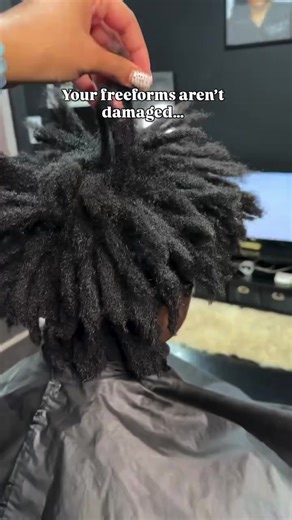 Transform Your Freeforms with Expert Care