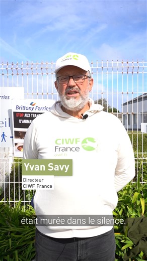 La rencontre avec Christophe Mathieu, PDG de Brittany Ferries, est un premier pas prometteur. Les citoyens, dont plus de 80 % des Français, s'opposent au transport de veaux non sevrés sur les ferries. Il y a une semaine, le 29 septembre, CIWF France accompagnée de QUATRE PATTES, Welfarm, avec le soutien de L214 Ethique et Animaux se sont rassemblés devant le siège de Brittany Ferries à Roscoff, pour remettre une lettre ouverte signée par 11 ONG. Bien que nos demandes aient été entendues, aucun e