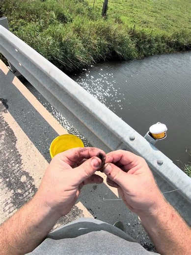 The proper way to put a worm on a hook.